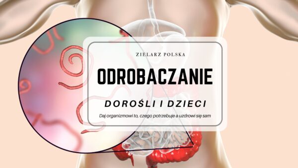 odrobaczanie, pasożyty, glista, owsiki, lamblie, włosogłówka, askaris, ameby, shistosoma, przywry,